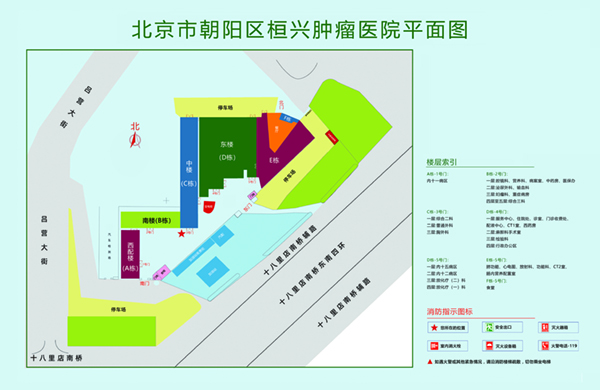 狂肏女孩屄北京市朝阳区桓兴肿瘤医院平面图